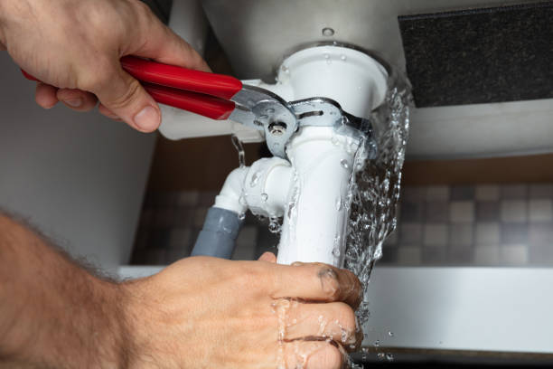 Best Flooded house restoration  in South Ack, NY