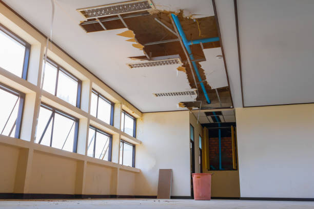 Best Carpet water damage restoration  in South Ack, NY