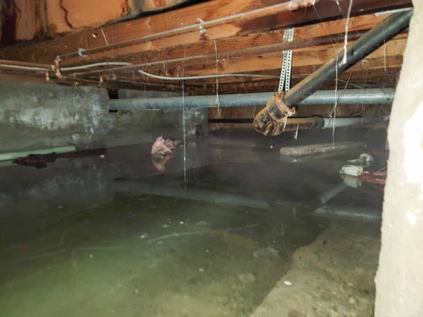 Best Local water damage restoration  in South Ack, NY