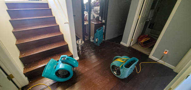 Best Ceiling water damage repair  in South Ack, NY