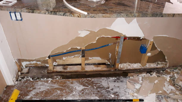 Best Water damage contractors near me  in South Ack, NY