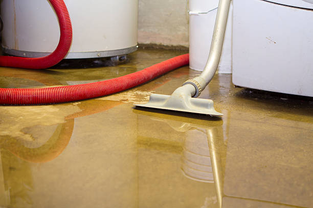 Best Flood damage cleanup  in South Ack, NY