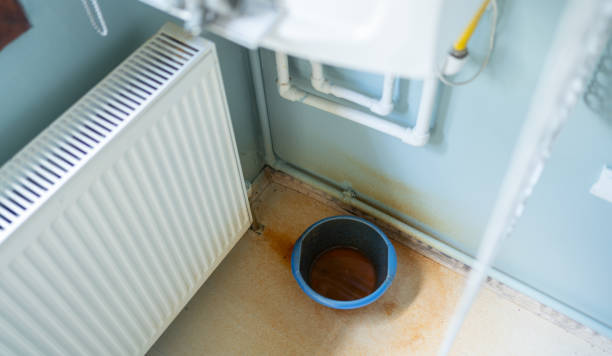 Best Basement water damage restoration  in South Ack, NY