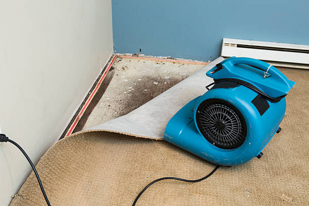 Best Water damage cleanup near me  in South Ack, NY